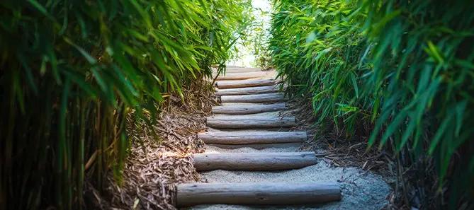 meditation steps