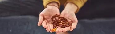 Choose a Mantra Meditation