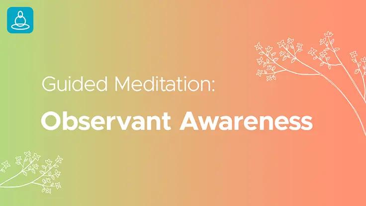 Practice Vipassana Meditation